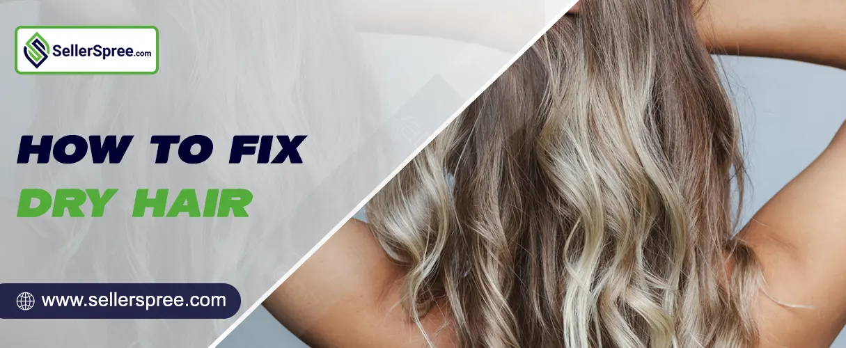How To Fix Dry Hair? SellerSpree.com