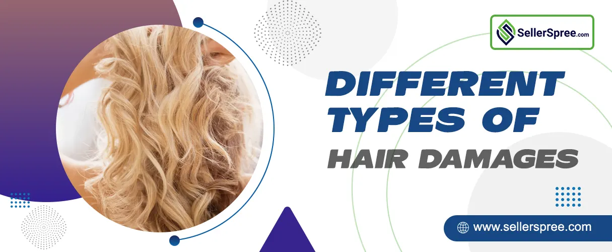 Different types of Hair Damages | SellerSpree