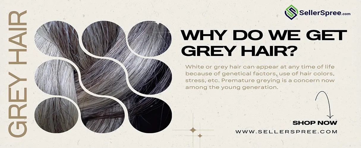 Why Do We Get Grey Hair? SellerSpree
