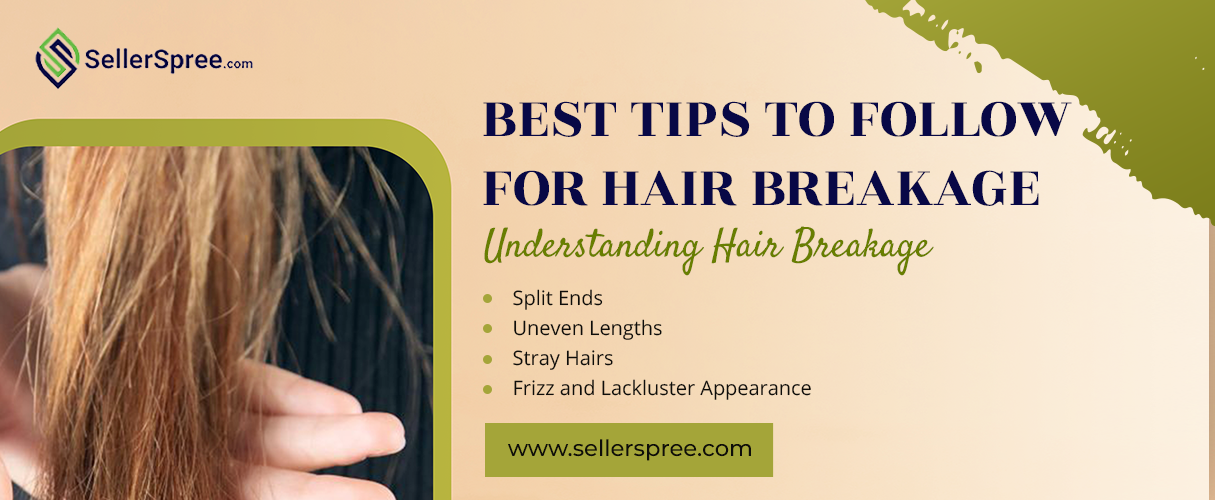 Best Tips to Follow for Hair Breakage | Sellerspree